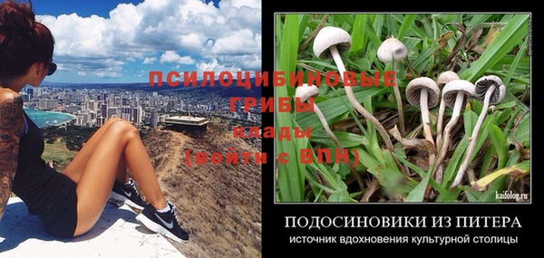 таблы Аркадак
