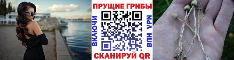 Псилоцибиновые грибы Magic Shrooms Киреевск